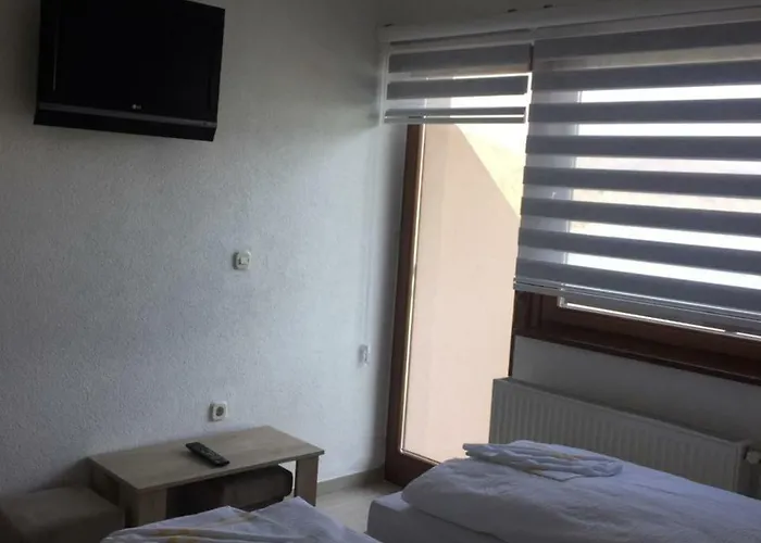 بنسيون عاصم 3*