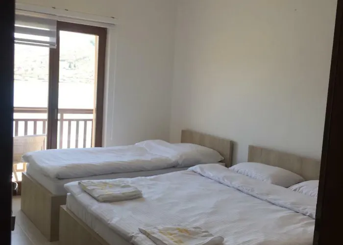 بنسيون عاصم